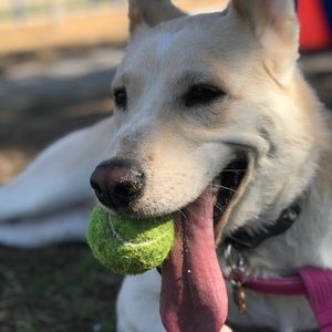 Meet your Posher, Diego